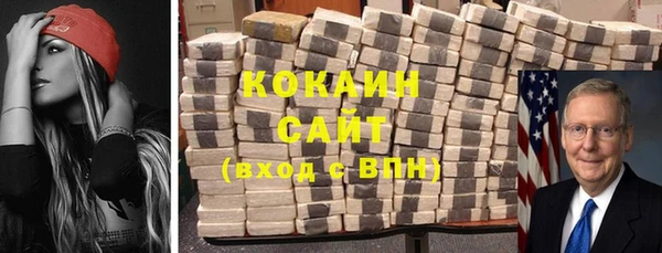 шишки Сосновка